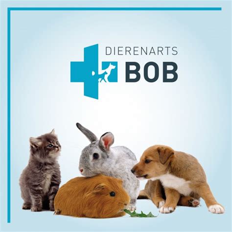 Dierenarts Bob in Baarn .